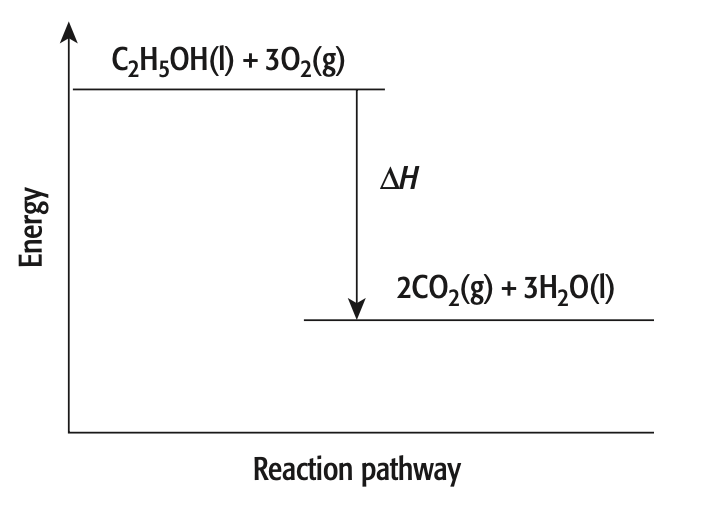 AS Chapter 6 Energetics 2 | Quizizz