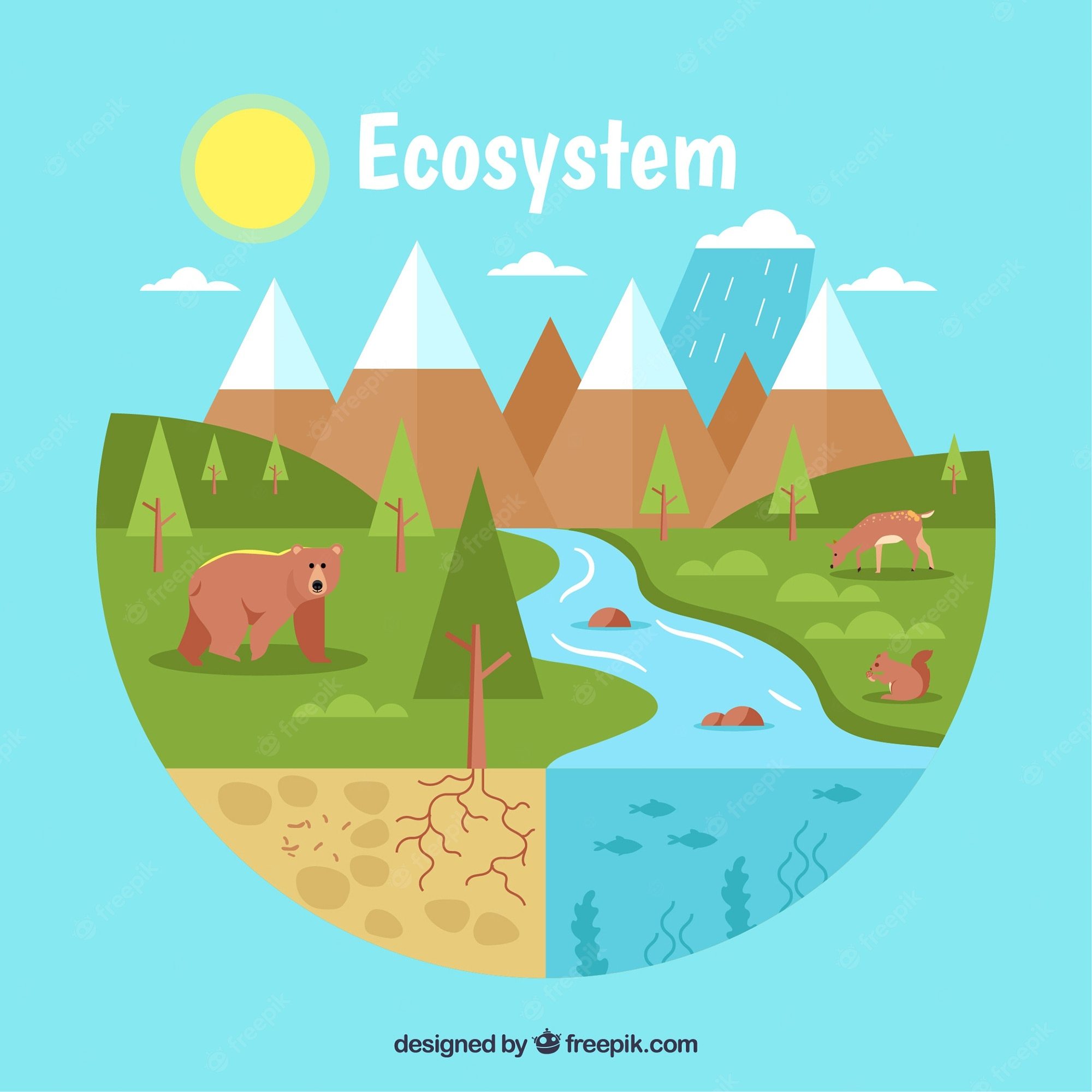 ecology - Grade 4 - Quizizz