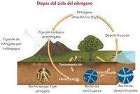 Clima - Grado 1 - Quizizz