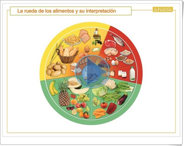 alimentos saludables | Physical Ed Quiz - Quizizz