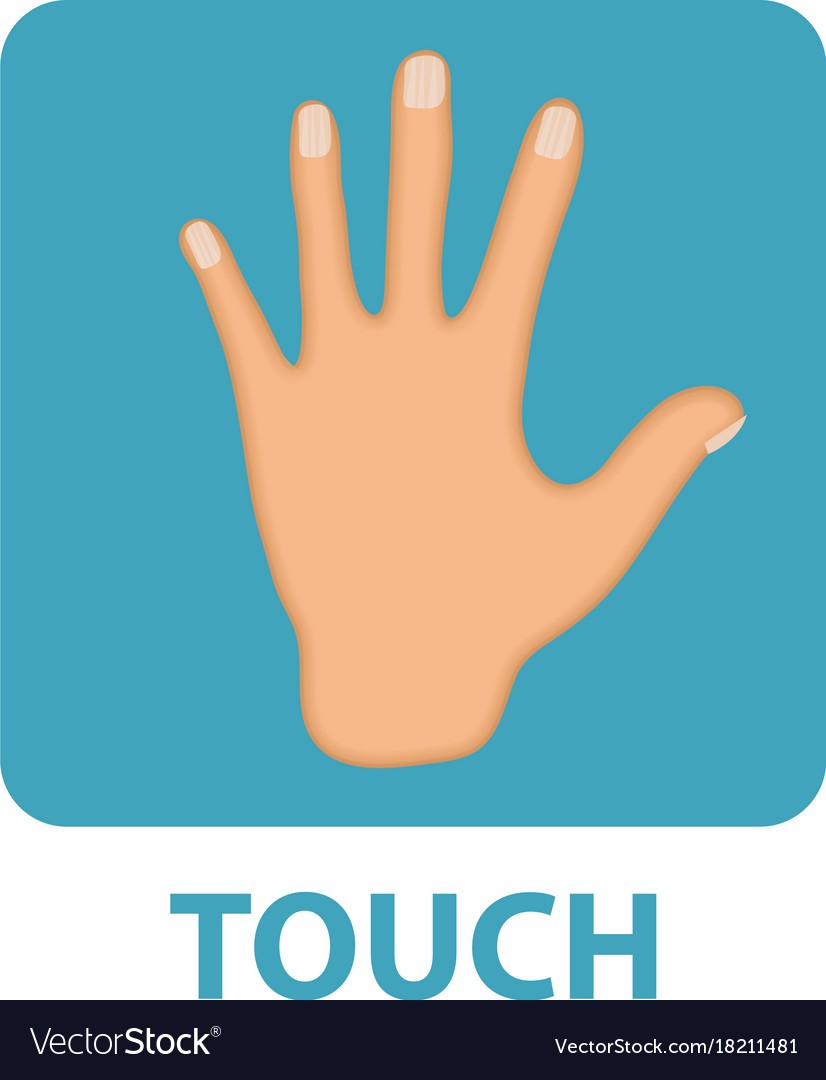 Sense of Touch | 74 plays | Quizizz