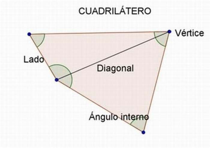 Cuadriláteros - Grado 12 - Quizizz