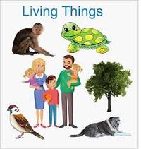 living and non living things - Class 9 - Quizizz