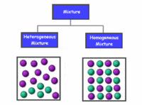 types of reproduction - Year 8 - Quizizz