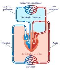 Geografia - Série 5 - Questionário