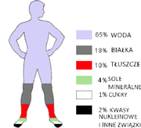 równowaga chemiczna - Klasa 6 - Quiz