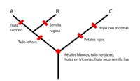 Minimo común multiplo - Grado 8 - Quizizz