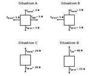 Formas plurales irregulares - Grado 9 - Quizizz