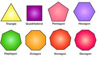 regular and irregular polygons - Class 9 - Quizizz