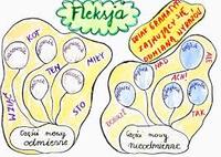 Rzeczowniki w liczbie pojedynczej - Klasa 8 - Quiz