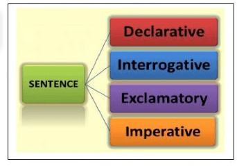 Types of Sentences - Year 2 - Quizizz