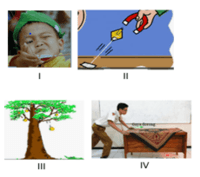 gaya dan hukum gerak newton - Kelas 3 - Kuis