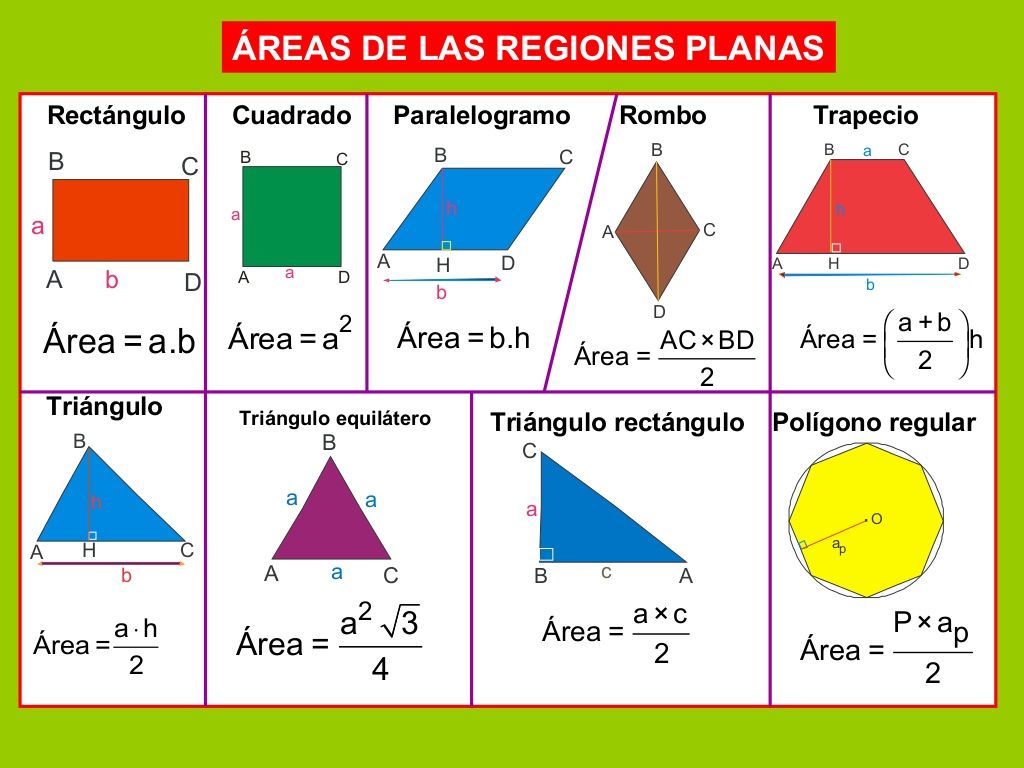 Perímetro - Grado 12 - Quizizz