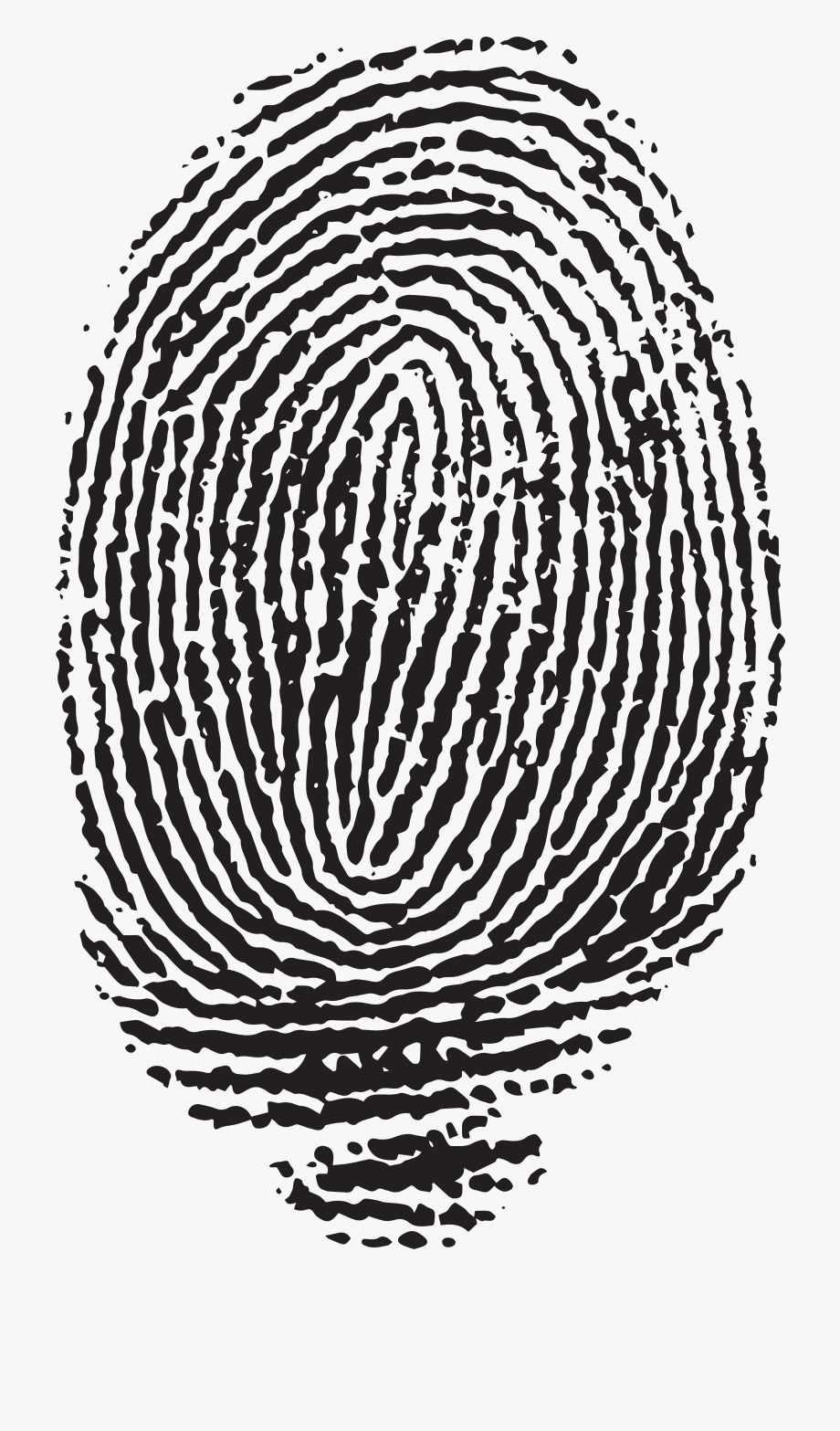 Fingerprints questions & answers for quizzes and worksheets Quizizz