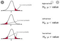 hypothesis testing - Year 12 - Quizizz