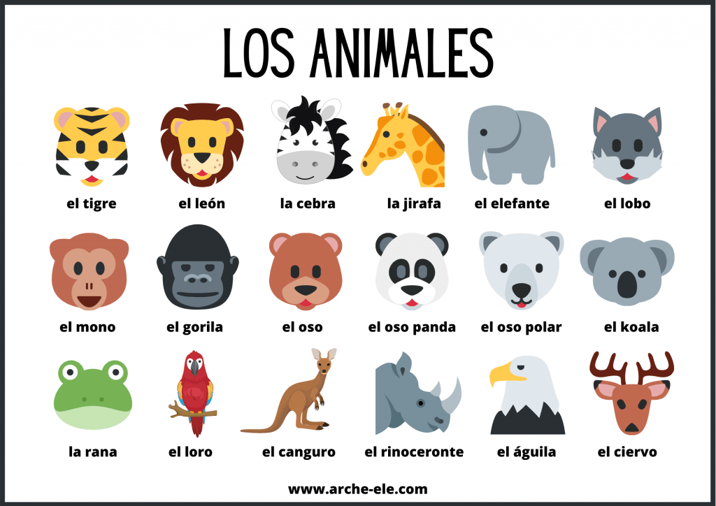 animales - Grado 2 - Quizizz