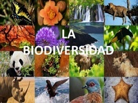 biodiversidad y conservación Tarjetas didácticas - Quizizz