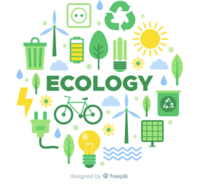 ecology - Year 12 - Quizizz