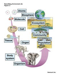 evolution and the tree of life - Grade 10 - Quizizz