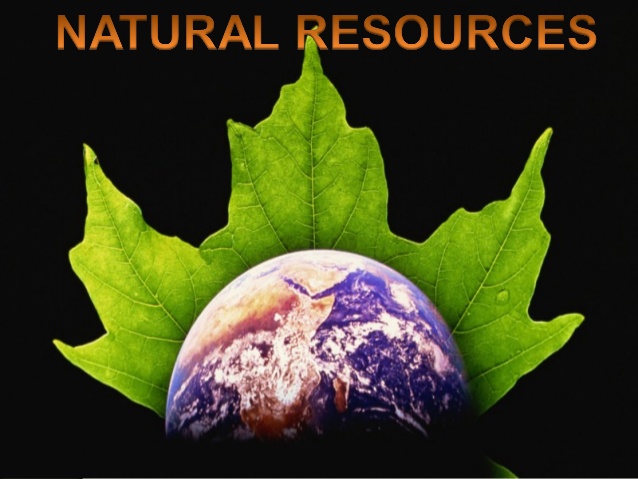 conservation of natural resources in india