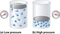 Gas Behavior Review