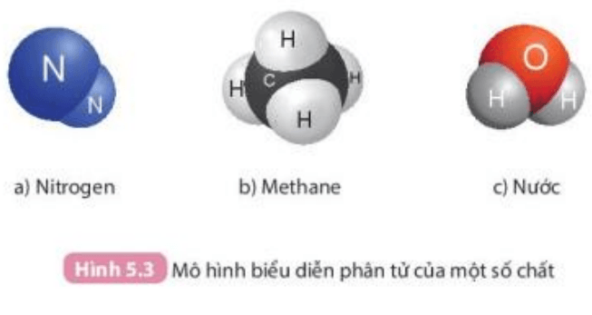 hóa thạch - Lớp 2 - Quizizz