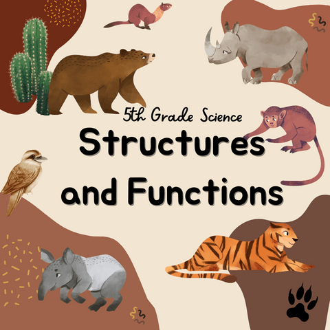 Functions - Grade 5 - Quizizz