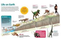 history of life on earth Flashcards - Quizizz
