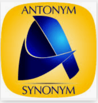 Synonyms and Antonyms - Year 3 - Quizizz