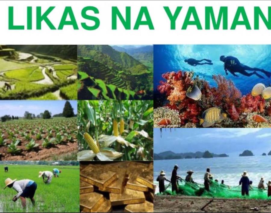 Likas Na Yaman Ng Bansang Pilipinas - Komagata Maru 100