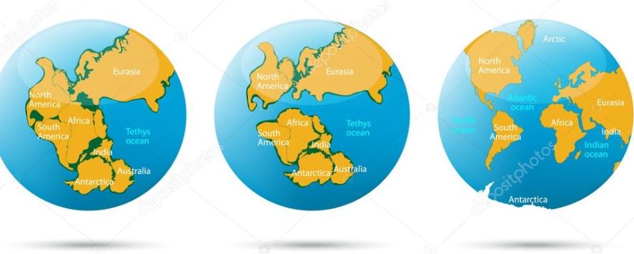 Analyzing Evidence: Continental Drift questions & answers for quizzes and  worksheets - Quizizz