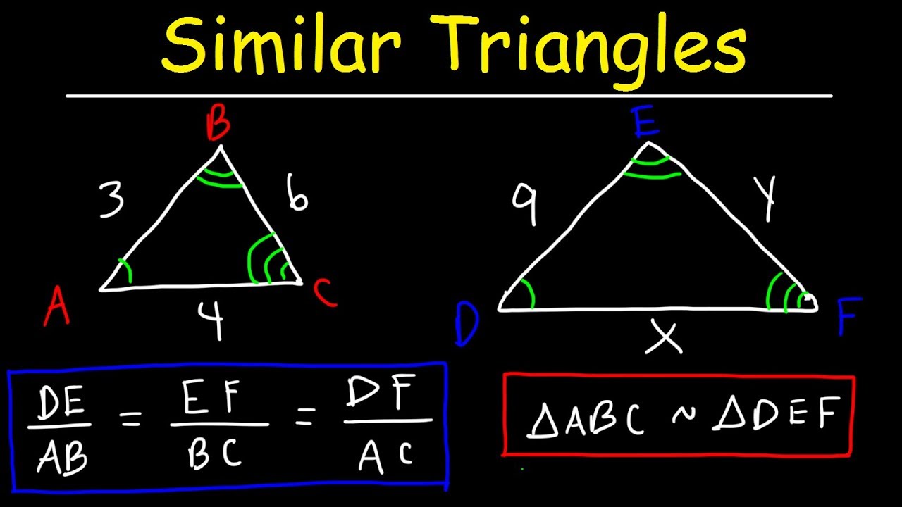 similarity - Class 12 - Quizizz