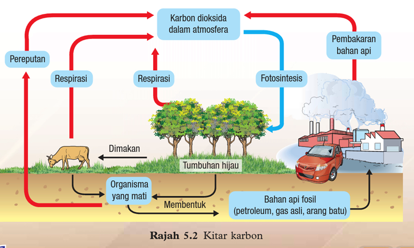 5.1 Pengenalan Sebatian Karbon 5.2 HidroKarbon - Quizizz