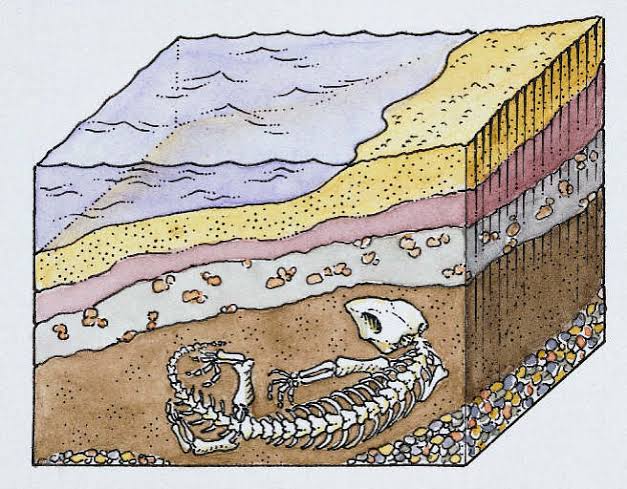 ROCK AGE AND THE AGE OF EARTH