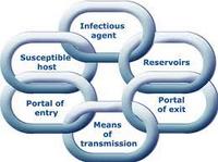 Chain of Infection Quiz - Quizizz