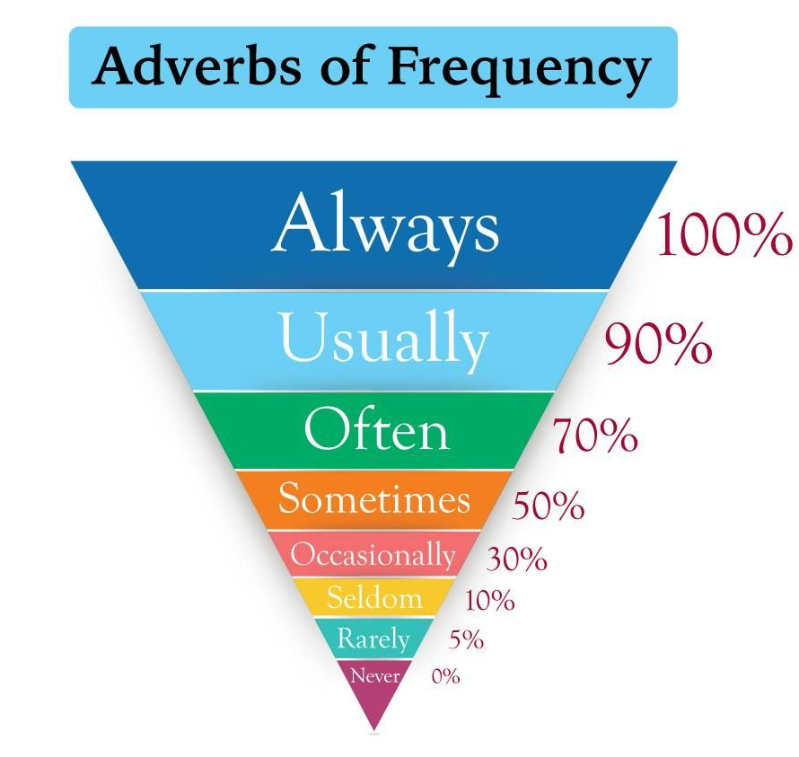 Adverb of Frequency | Quizizz