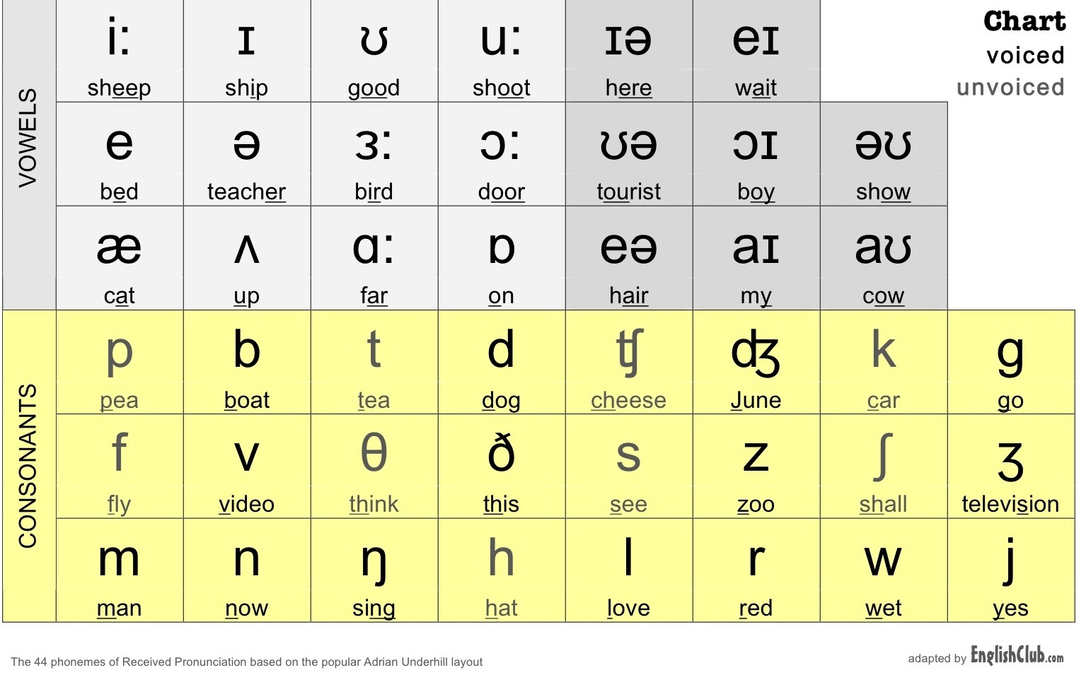 QOTD 1 MO English (Alphabets & IPA) | English Quiz - Quizizz