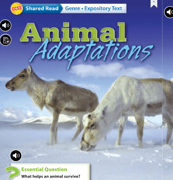 Unit 2 Week 4 Animal Adaptations Wonders story quiz - Quizizz