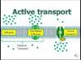 Active Transport