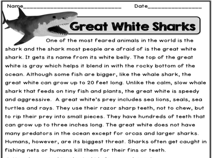 Sharks Quiz Questions And Answers Pdf