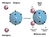 estructura electrónica de los átomos Tarjetas didácticas - Quizizz