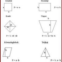 Pole prostokąta - Klasa 8 - Quiz