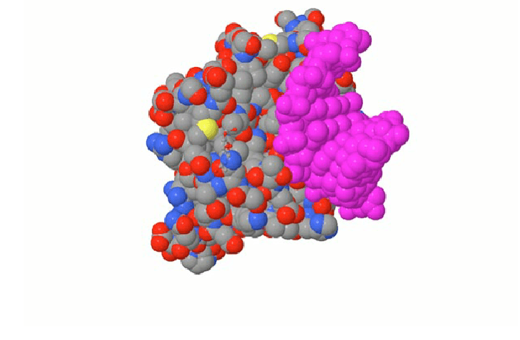 BioquÍmica ProteÍnas 314 Jugadas Quizizz 6588