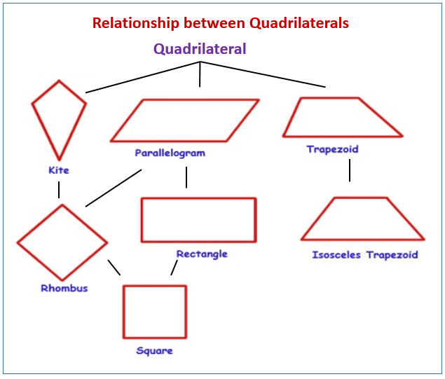 Understanding Quadrilaterals