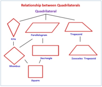 Classifying Quadrilaterals - Class 7 - Quizizz