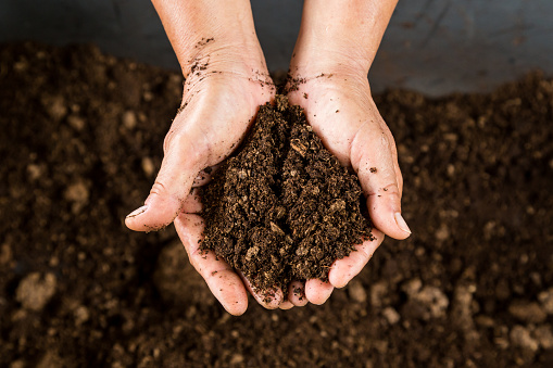 soils Flashcards - Quizizz