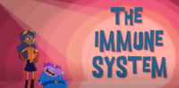 the immune system - Class 5 - Quizizz