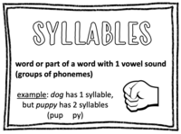 Multiple Syllable Words - Grade 7 - Quizizz