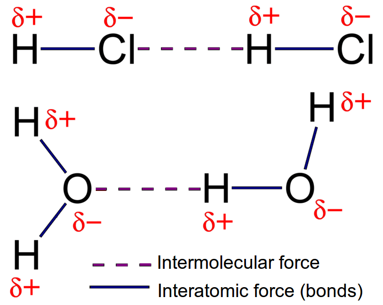 3.1.3.7 Forces between molecules | Quizizz