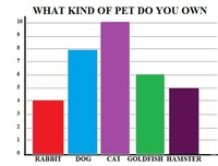 Graphs & Functions - Year 3 - Quizizz